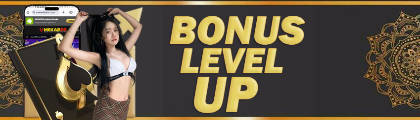 BONUS LEVEL UP